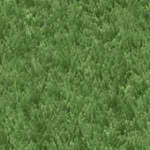 lawnsigngrass